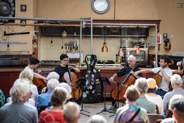 TicketToRideCelloboys